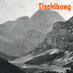 Cui mi dîs ce tantis stelis