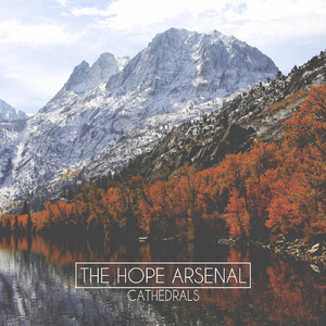 The Human Experience