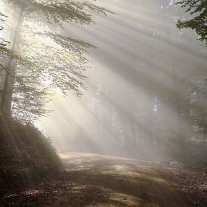 【FREE】像水XIANGSHUI@假孟菲斯【BPM150】