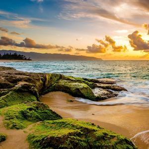 长相思兮长相忆