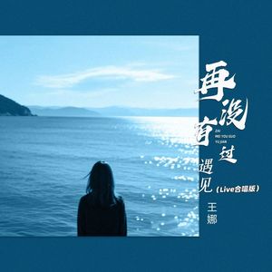 再没有过遇见 (Live合唱版)