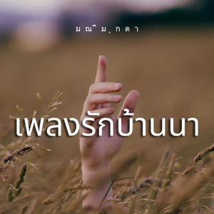 สัญญาผ้าไหม