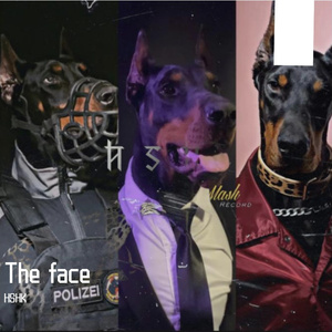 The face（人面兽心）