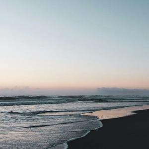 人为了爱可以做出惊天动地的蠢事