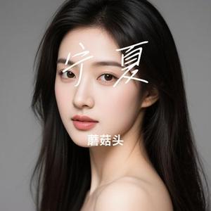 宁夏 (Cover 梁静茹)