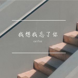 我想我忘了你 伴奏