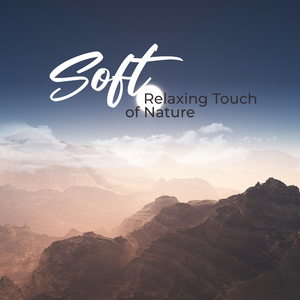 Soft Touch