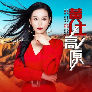 黄土高原 (DJ默涵版)