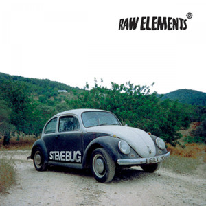 Sensitive (Steve Bug Remix)