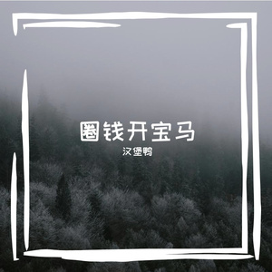 圈钱开宝马2.0