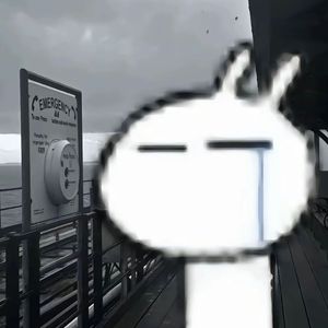 mmexport1772441178795