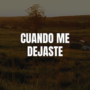 Cuando me dejaste