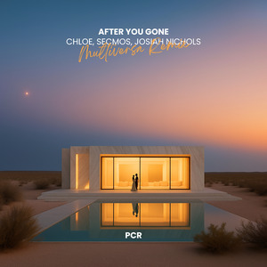 After You Gone (Multiversa Remix)