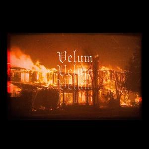 velum