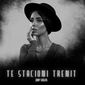 Te Stacioni Trenit