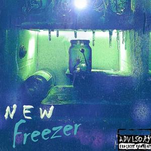 NEW FREEZER
