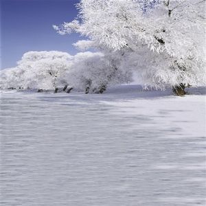 错过的温柔，永恒的痛