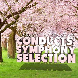 Symphony No. 9 in E Minor, Op. 95, "From the New World": IV. Allegro con fuoco