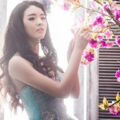 花千骨插曲-心之火 (Live版)
