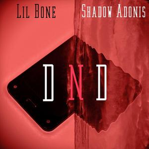 DND (feat. Shadow Adonis)