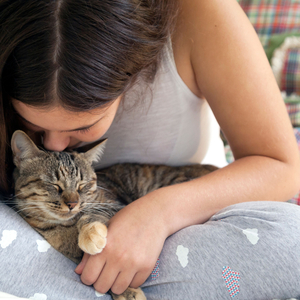 Siamese's Slumber in the Sonic Symphony