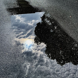 【须尽欢】镜子破了就破了吧重圆了也只能照到我自己..wav