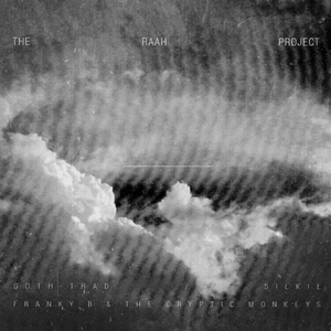 If Not Me (Franky B & The Cryptic Monkeys Remix)