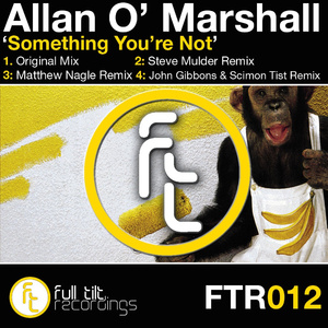 Something You're Not (Matthew Nagel Remix)