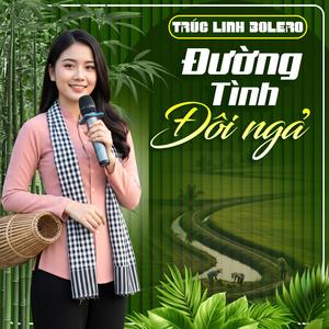 Đường Tình Đôi Ngã