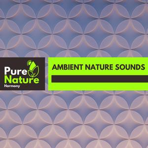 White Noise Night Fire Sound