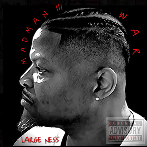 In the Air (feat. Dressa)