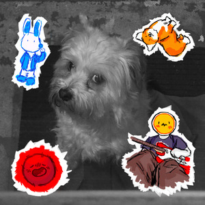 Sorry I didn't kiss you