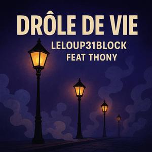 Drôle de Vie (feat. Thony)