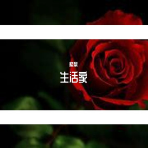 宝贝呀（翻自 张悬）