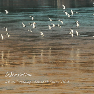 Meditation Relax River