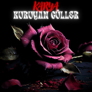 Kuruyan Güller