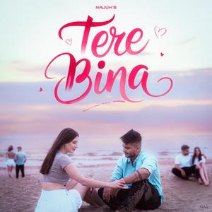 Tere Bina
