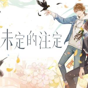 未定的注定