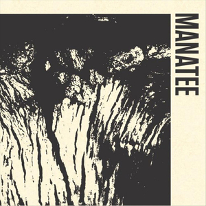 The Unsuccessful Rapist