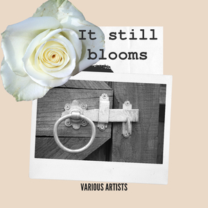 Honey, I'm Not Sorry