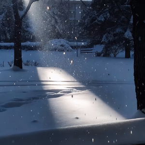 去年的雪下到今年（降速版）