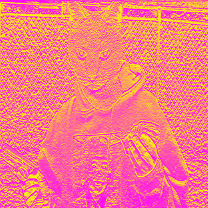 Mexican Disco Erections