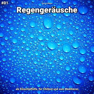 Regengeräusche, pt. 41