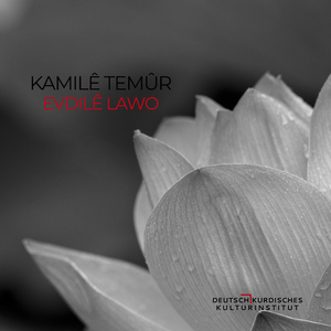 Evdilê Lawo