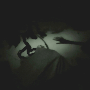 Bite