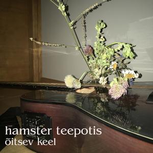 mustamäe tänavad ja lombid on mulle nii tuttavad, aga nad ei tunne mind enam ära