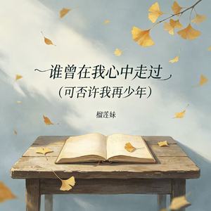 谁曾在我心中走过（可否许我再少年）