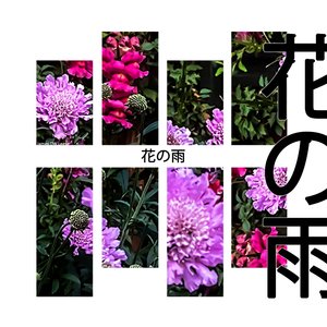 花の雨