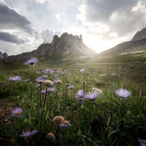 红 (4u) 抖音热搜版