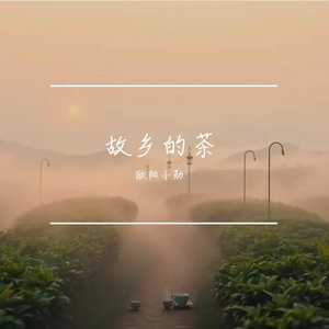 故乡的茶